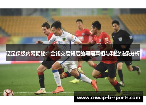辽足保级内幕揭秘:金钱交易背后的黑暗真相与利益链条分析 辽足保级内幕揭秘:金钱交易背后的黑暗真相与利益链条分析