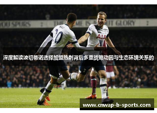 深度解读波切蒂诺选择加盟热刺背后多重战略动因与生态环境关系的