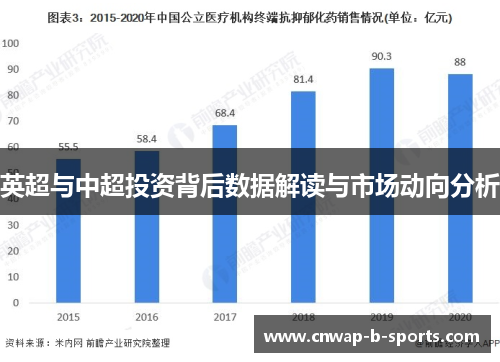 英超与中超投资背后数据解读与市场动向分析 英超与中超投资背后数据解读与市场动向分析