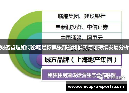 财务管理如何影响足球俱乐部盈利模式与可持续发展分析