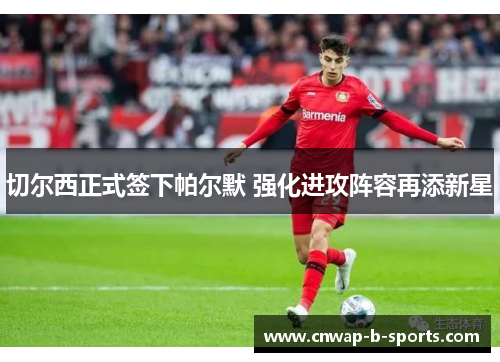 切尔西正式签下帕尔默 强化进攻阵容再添新星
