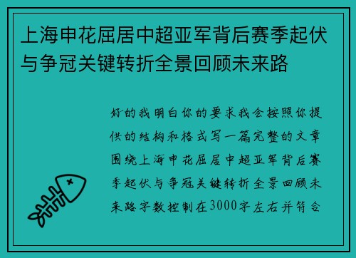 上海申花屈居中超亚军背后赛季起伏与争冠关键转折全景回顾未来路 上海申花屈居中超亚军背后赛季起伏与争冠关键转折全景回顾未来路