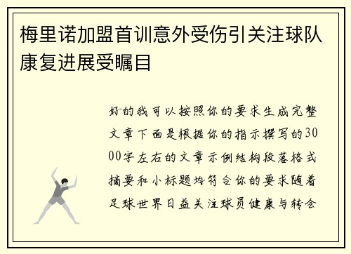 梅里诺加盟首训意外受伤引关注球队康复进展受瞩目 梅里诺加盟首训意外受伤引关注球队康复进展受瞩目